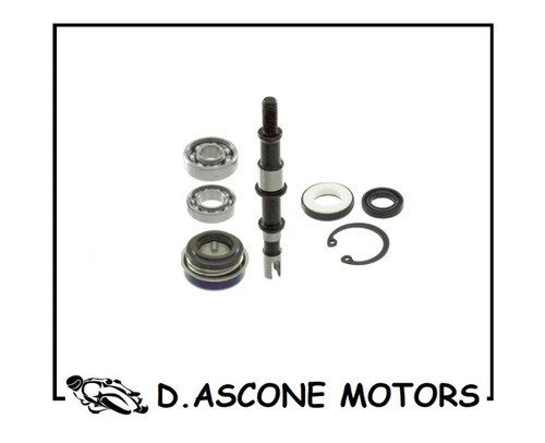 Kit revisione pompa acqua h2o - kit,