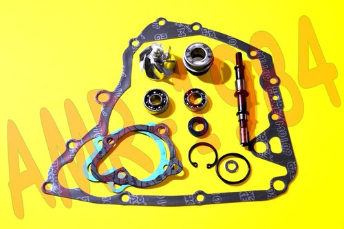 Kit revisione pompa - kit,